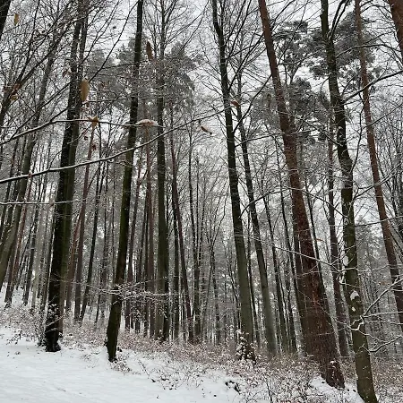 2p 50 M2 - Spacieux, Equipe, Moderne, A La Montagne Ottrott