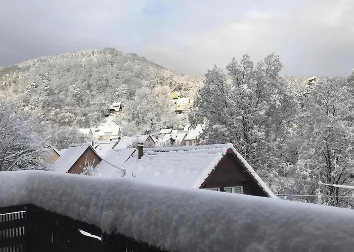 2p 50 M2 - Spacieux, Equipe, Moderne, A La Montagne Ottrott