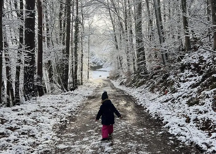 2p 50 M2 - Spacieux, Equipe, Moderne, A La Montagne