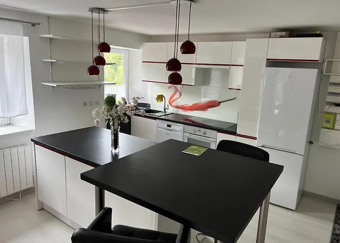 Apartment 2p 50 M2 - Spacieux, Equipe, Moderne, A La Montagne Ottrott